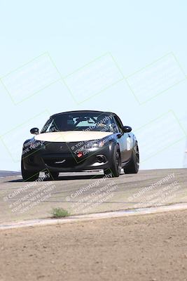 media/Jul-26-2025-Speed Ventures (Sat) [[fe569e6cf0]]/Yellow Group/Grapevine/